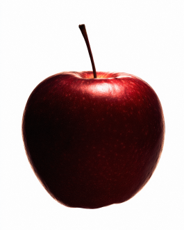 Close-up still life composition of natural elements such as fruits, flowers, and leaves captured in backlit minimal style, showcasing contemporary photography and experimental visual art by IMPROMPTU Studio. 