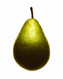 Close-up still life composition of natural elements such as fruits, flowers, and leaves captured in backlit minimal style, showcasing contemporary photography and experimental visual art by IMPROMPTU Studio. 