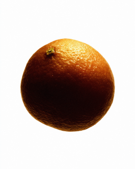 Close-up still life composition of natural elements such as fruits, flowers, and leaves captured in backlit minimal style, showcasing contemporary photography and experimental visual art by IMPROMPTU Studio. 