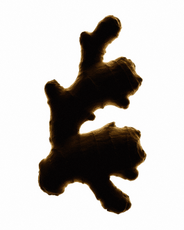 Close-up still life composition of natural elements such as fruits, flowers, and leaves captured in backlit minimal style, showcasing contemporary photography and experimental visual art by IMPROMPTU Studio. 