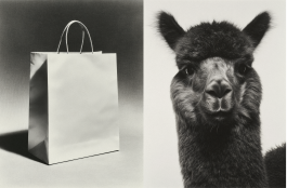 Black-and-white conceptual photography exploring the relationship between beauty, awareness, and responsibility through fashion’s visual language — an experimental visual art series by IMPROMPTU Studio.