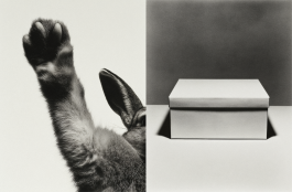 Black-and-white conceptual photography exploring the relationship between beauty, awareness, and responsibility through fashion’s visual language — an experimental visual art series by IMPROMPTU Studio.