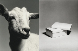 Black-and-white conceptual photography exploring the relationship between beauty, awareness, and responsibility through fashion’s visual language — an experimental visual art series by IMPROMPTU Studio.