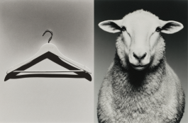 Black-and-white conceptual photography exploring the relationship between beauty, awareness, and responsibility through fashion’s visual language — an experimental visual art series by IMPROMPTU Studio.