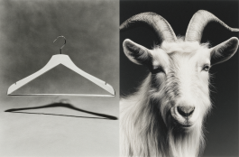 Black-and-white conceptual photography exploring the relationship between beauty, awareness, and responsibility through fashion’s visual language — an experimental visual art series by IMPROMPTU Studio.