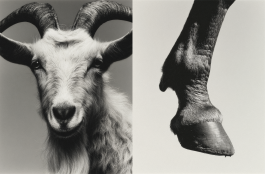 Black-and-white conceptual photography exploring the relationship between beauty, awareness, and responsibility through fashion’s visual language — an experimental visual art series by IMPROMPTU Studio.