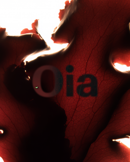 Art direction and visual identity for Oia, a marine-based skincare and haircare brand. Clean editorial style, soft light, natural textures and product-focused compositions created by IMPROMPTU studio. 